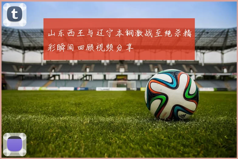 山东西王与辽宁本钢激战至绝杀精彩瞬间回顾视频分享